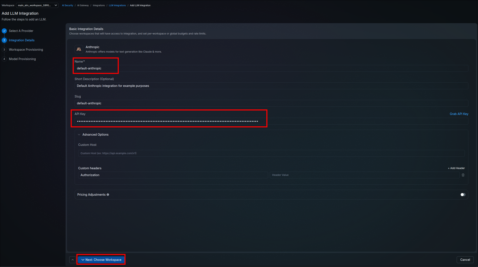Basic Integration Details page for Anthropic with the Name field and masked API Key field highlighted, showing the Grab API Key link, Advanced Options with Custom Host and Custom headers, the Pricing Adjustments toggle, and the Next Choose Workspace button
